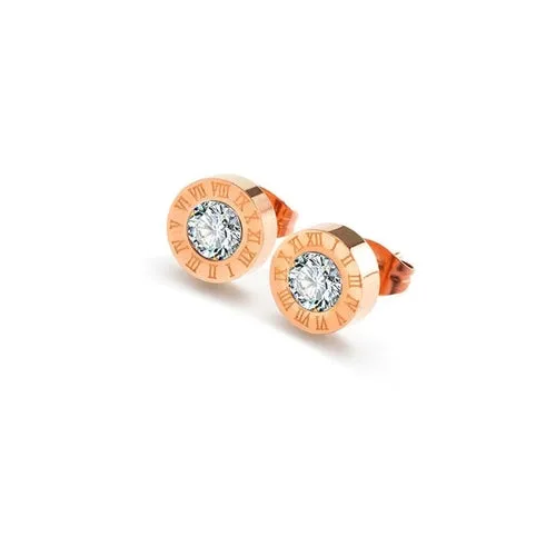 Exquisite Zircon Stainless Steel Stud Earrings For Women