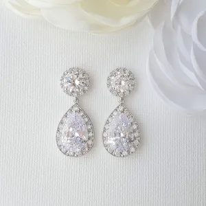 Silver Drop Earrings-Evita