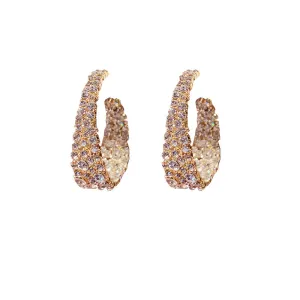 Sparkling Crystal-Embellished Hoop Earrings-jlt11544